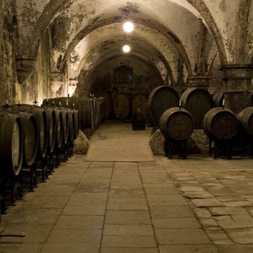 Medieval wine cellar