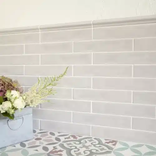 Boston-Hibiscus-2 Boston-Hibiscus-2