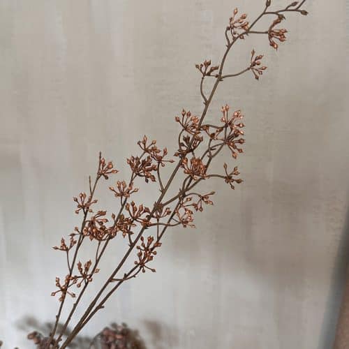 Berry spray light brown1