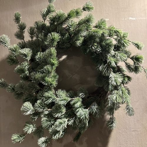 67C4E879-C02D-4282-87A1-3AA56A32F61B